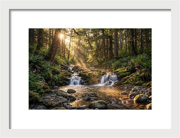 Whispers Of Tanyard Creek