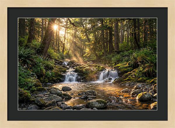 Whispers Of Tanyard Creek