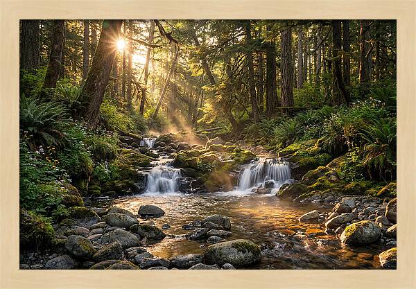 Whispers Of Tanyard Creek