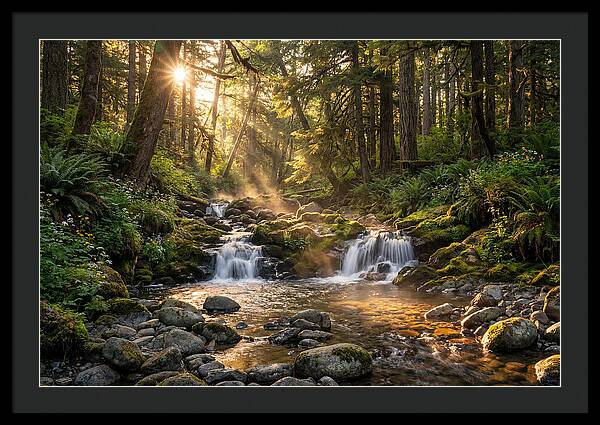 Whispers Of Tanyard Creek