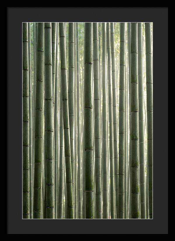 Whispers Of The Bamboo Forest