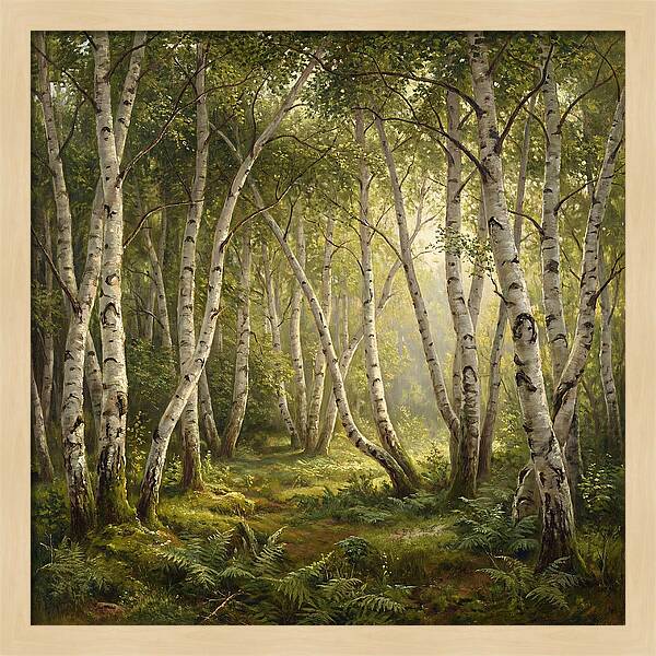 Whispers Of The Birch Grove