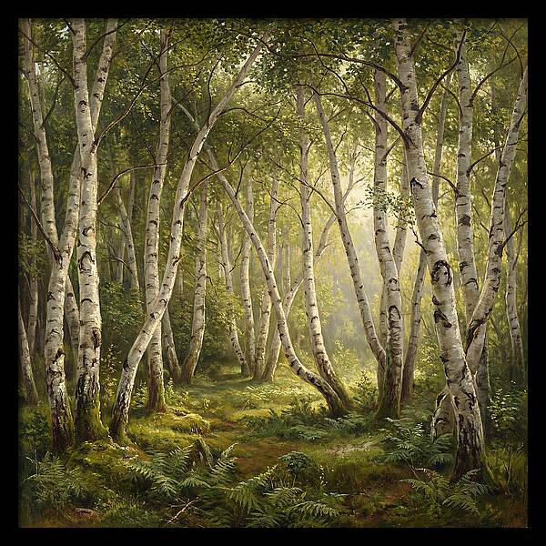 Whispers Of The Birch Grove