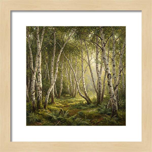 Whispers Of The Birch Grove