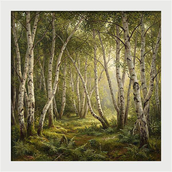 Whispers Of The Birch Grove