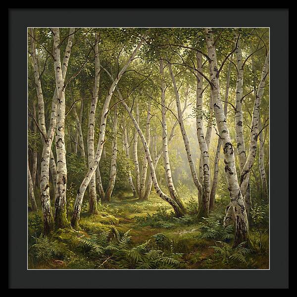 Whispers Of The Birch Grove