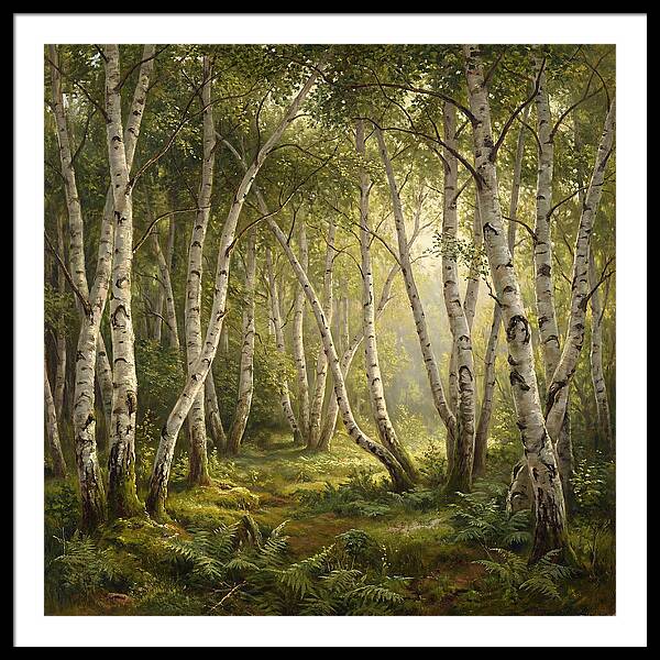 Whispers Of The Birch Grove