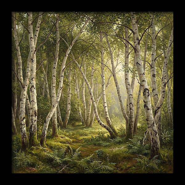 Whispers Of The Birch Grove