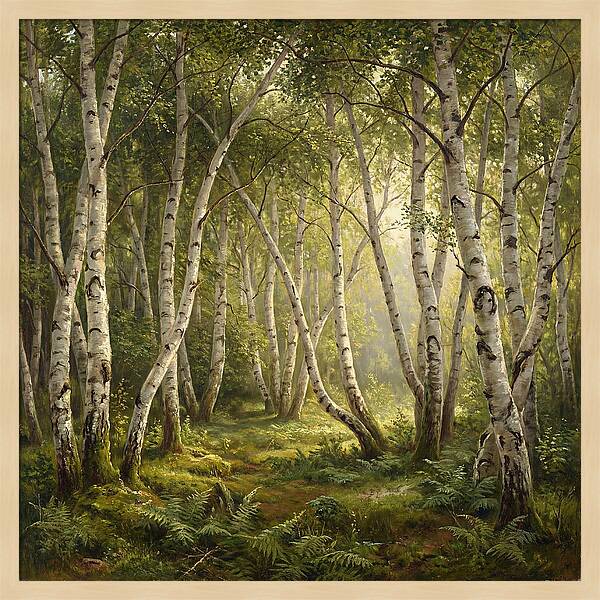 Whispers Of The Birch Grove