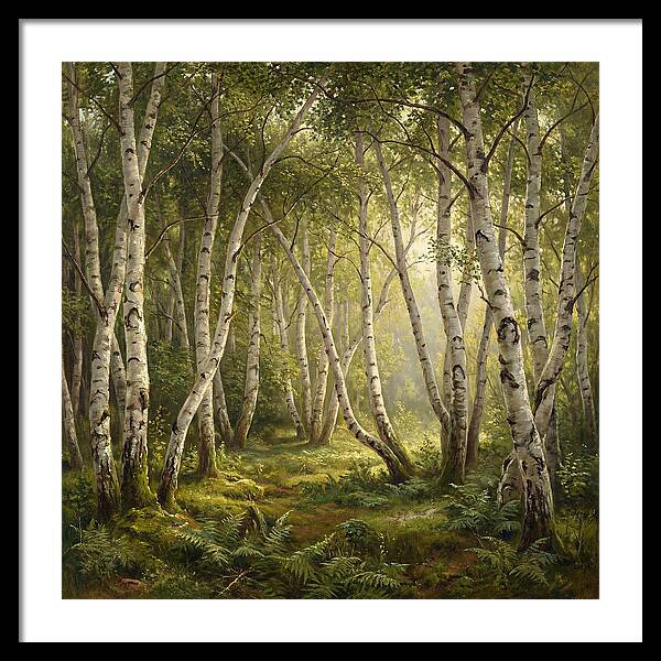 Whispers Of The Birch Grove