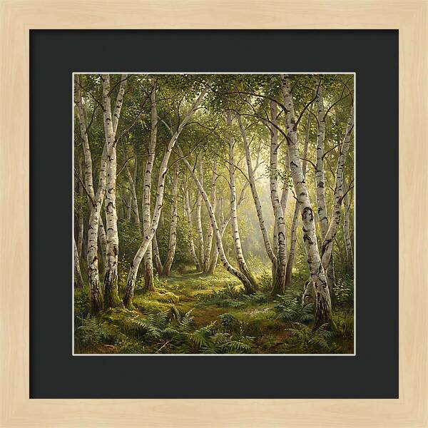 Whispers Of The Birch Grove