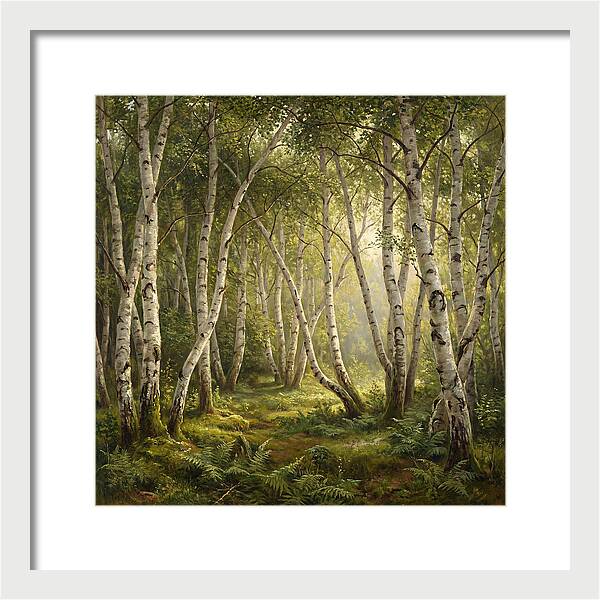 Whispers Of The Birch Grove