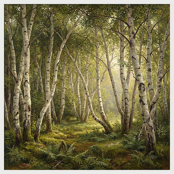 Whispers Of The Birch Grove