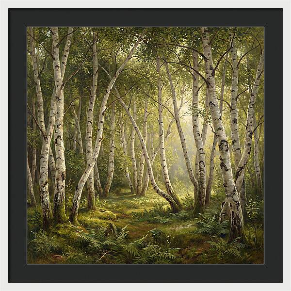 Whispers Of The Birch Grove