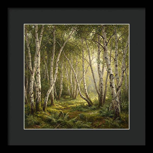 Whispers Of The Birch Grove