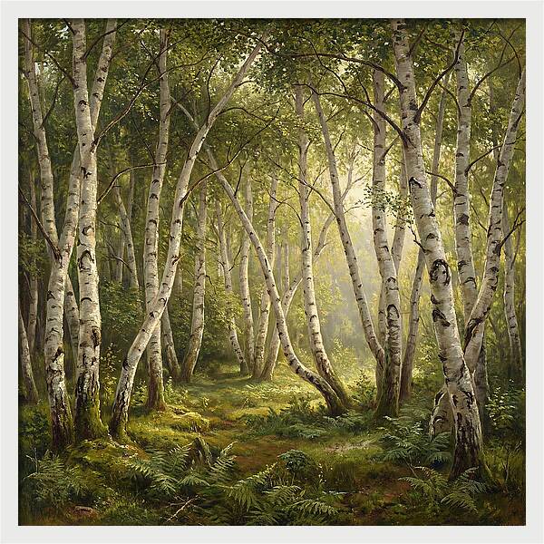 Whispers Of The Birch Grove