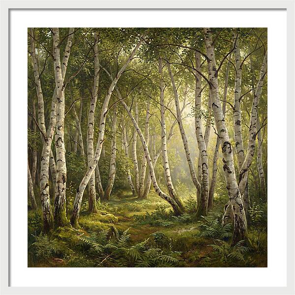 Whispers Of The Birch Grove