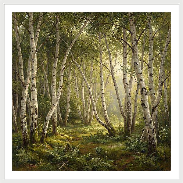 Whispers Of The Birch Grove