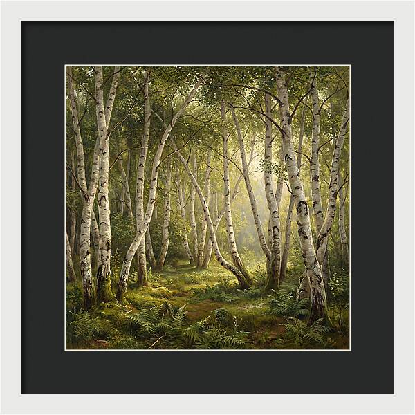 Whispers Of The Birch Grove