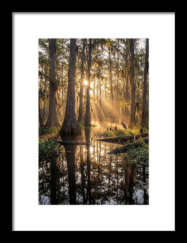 Whispers Of The Cypress