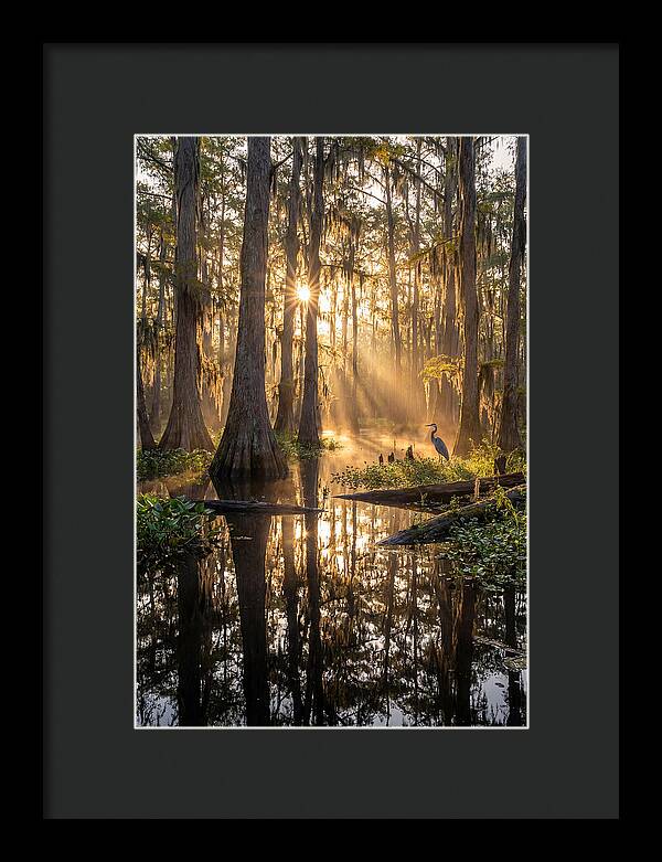 Whispers Of The Cypress