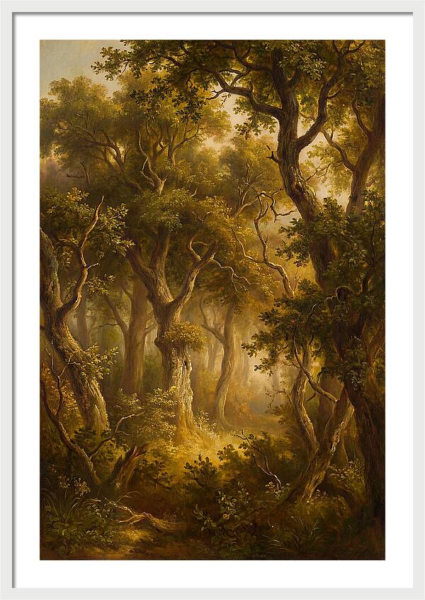 Whispers Of The Enchanted Forest