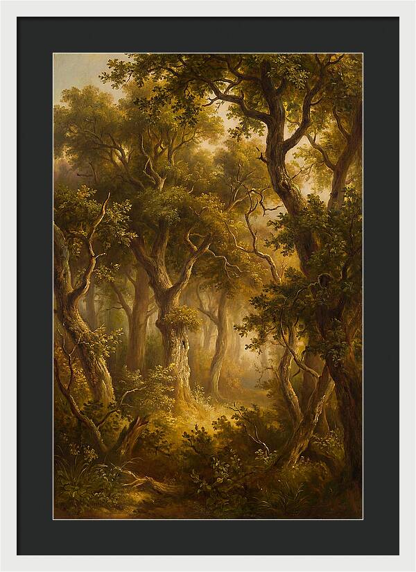 Whispers Of The Enchanted Forest