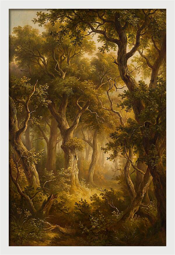 Whispers Of The Enchanted Forest
