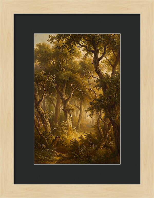 Whispers Of The Enchanted Forest