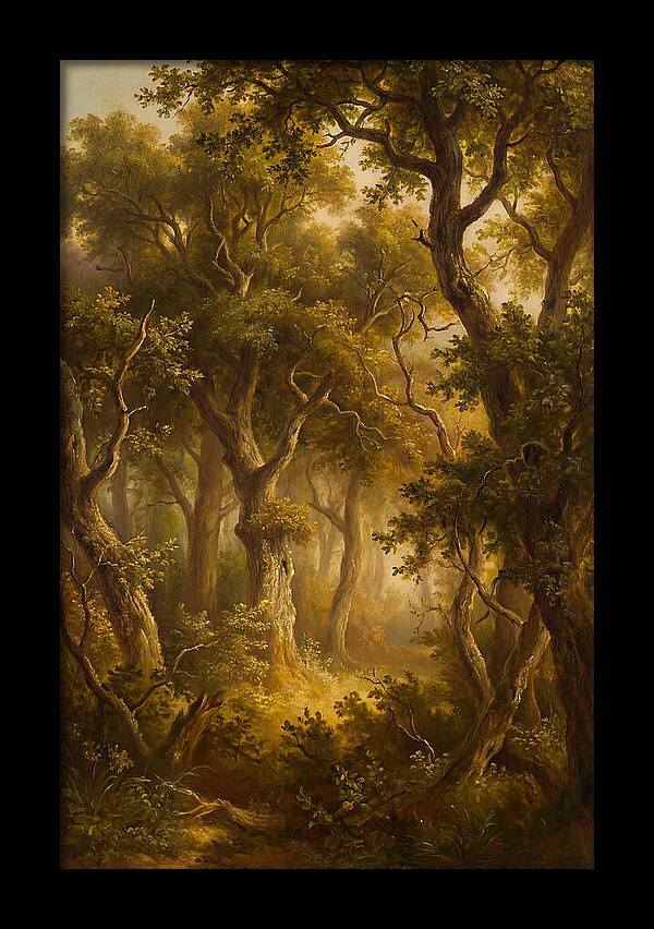 Whispers Of The Enchanted Forest