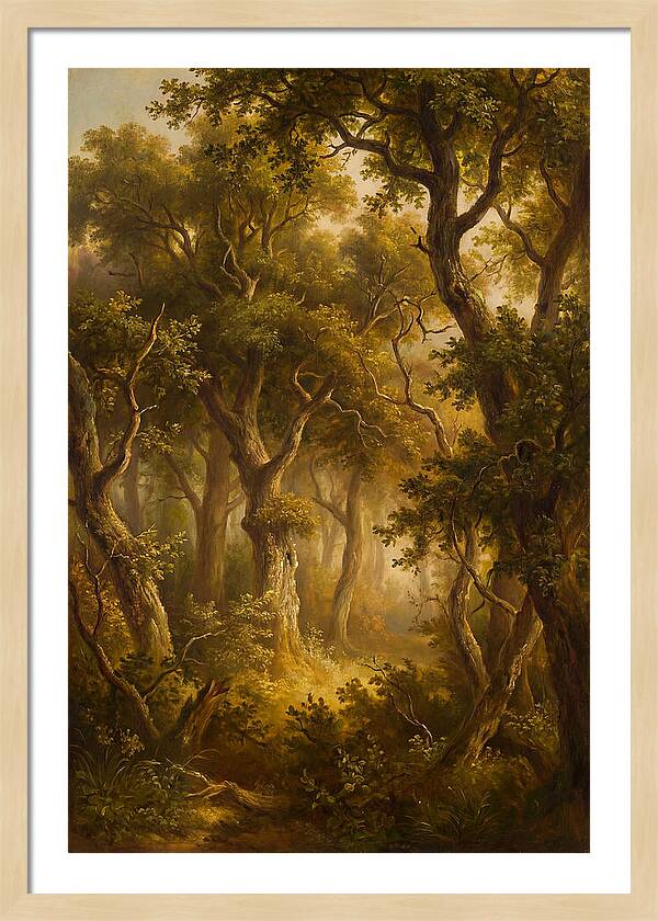 Whispers Of The Enchanted Forest