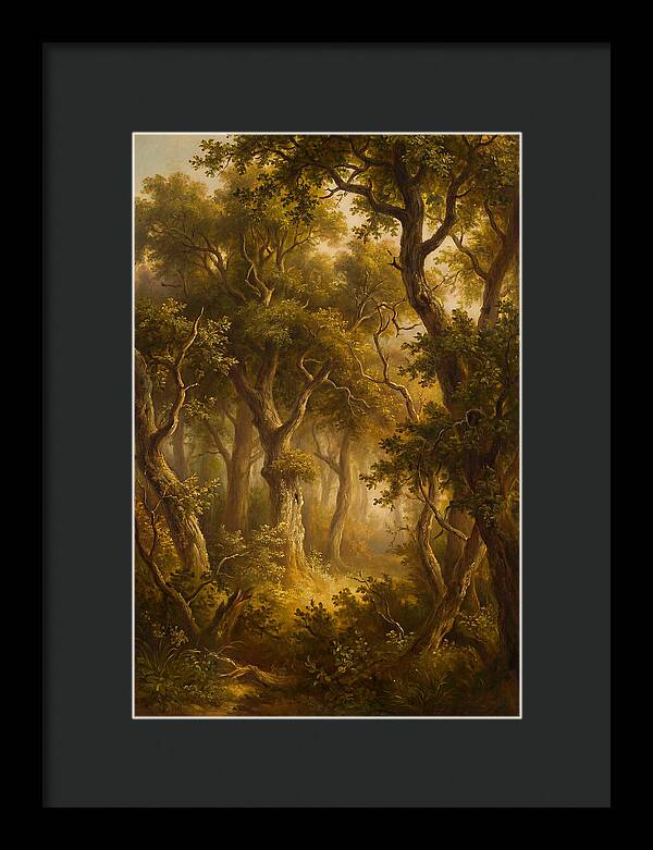 Whispers Of The Enchanted Forest