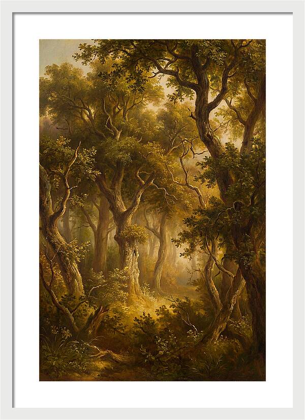 Whispers Of The Enchanted Forest