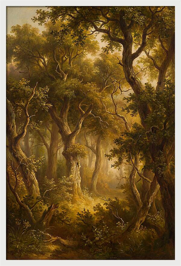 Whispers Of The Enchanted Forest