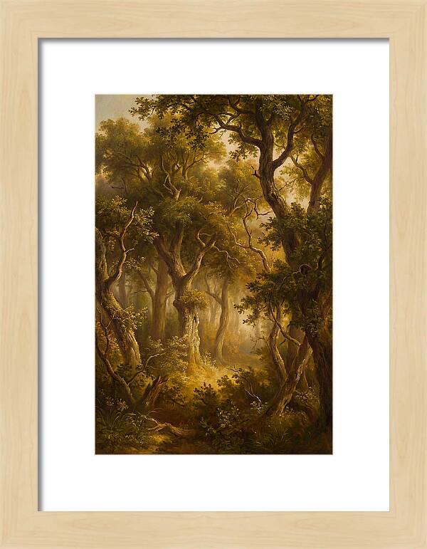 Whispers Of The Enchanted Forest