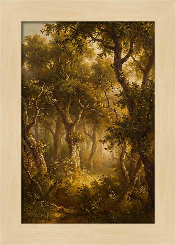 Whispers Of The Enchanted Forest