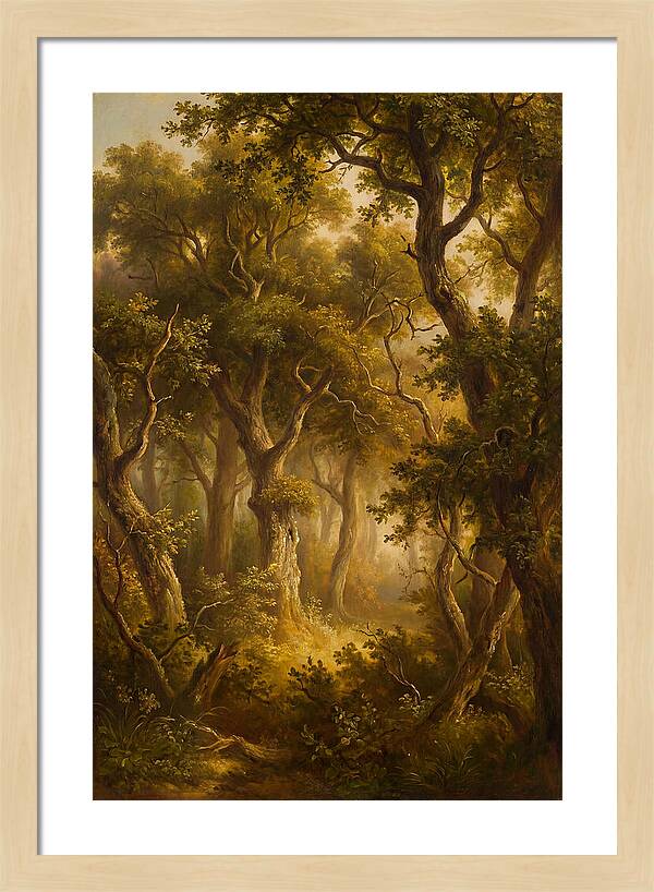 Whispers Of The Enchanted Forest