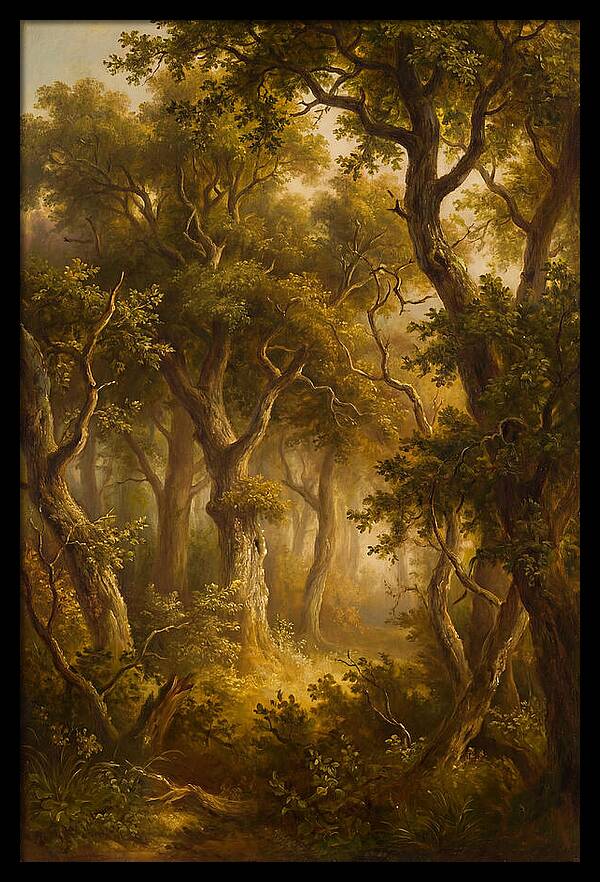 Whispers Of The Enchanted Forest