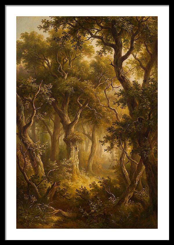 Whispers Of The Enchanted Forest
