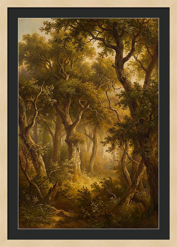 Whispers Of The Enchanted Forest