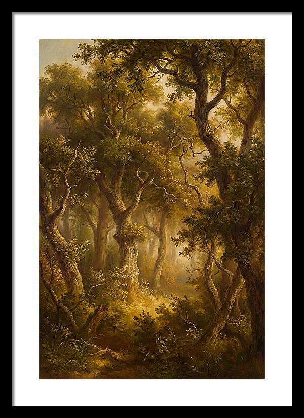 Whispers Of The Enchanted Forest