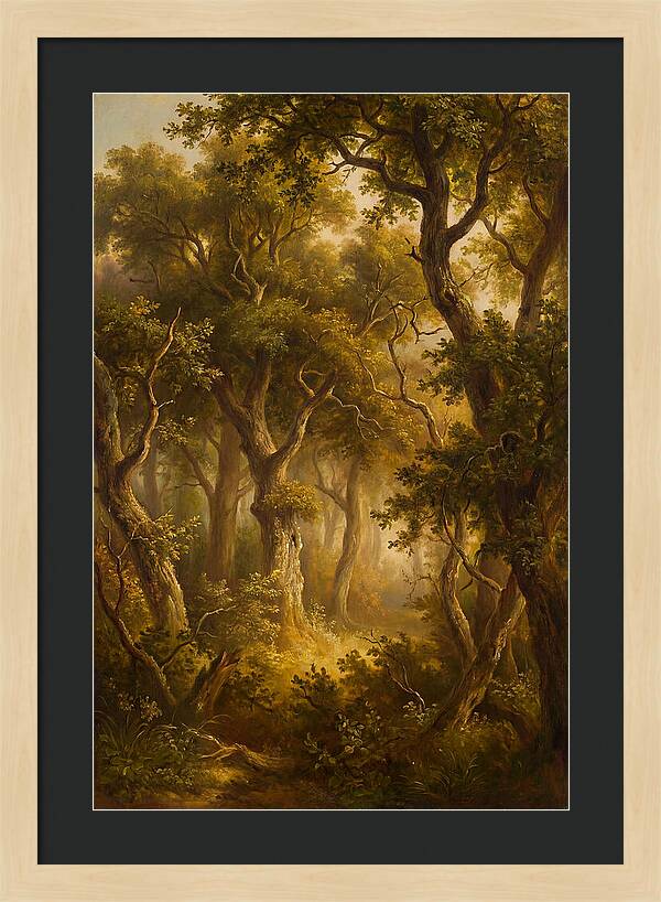 Whispers Of The Enchanted Forest