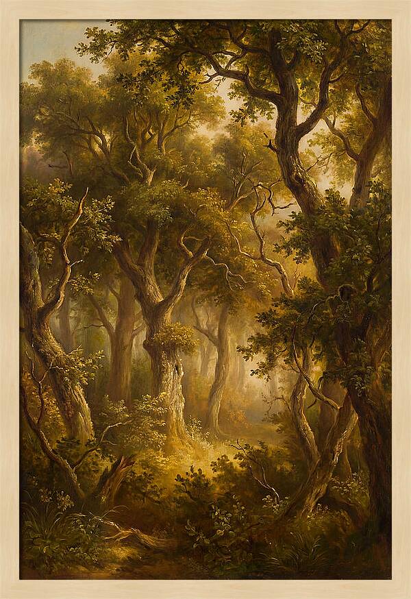Whispers Of The Enchanted Forest