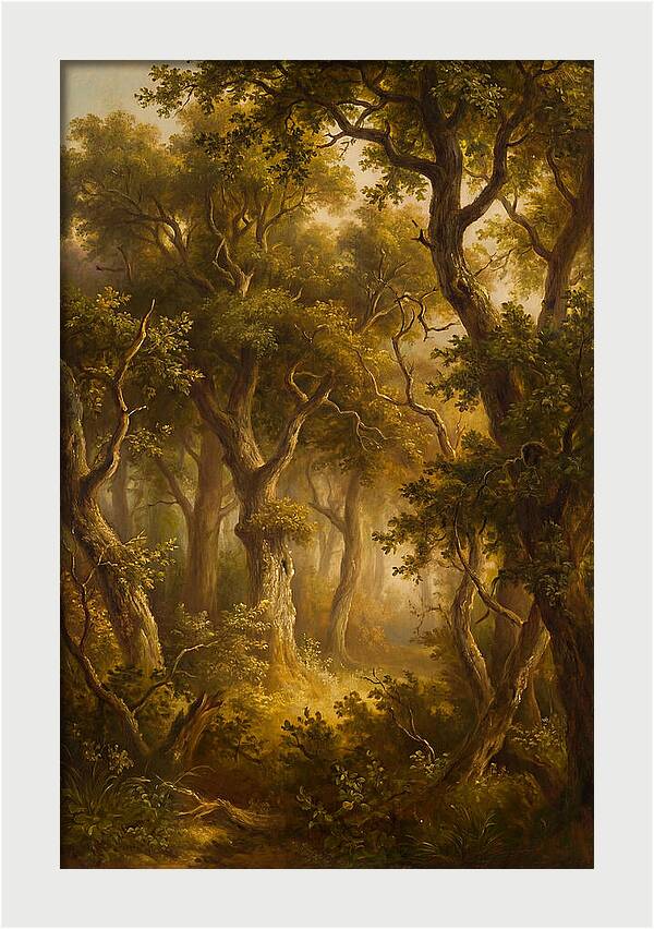Whispers Of The Enchanted Forest