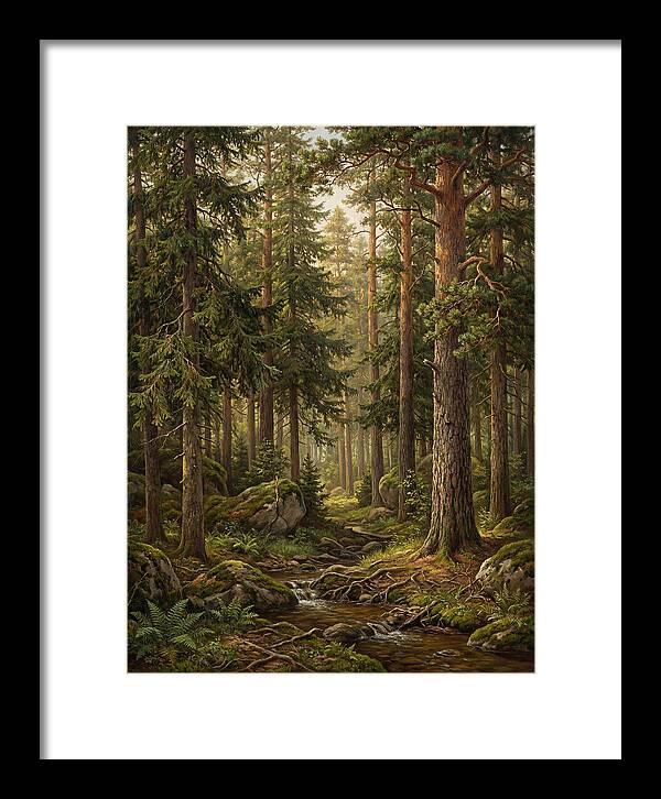 Whispers Of The Evergreen Woods