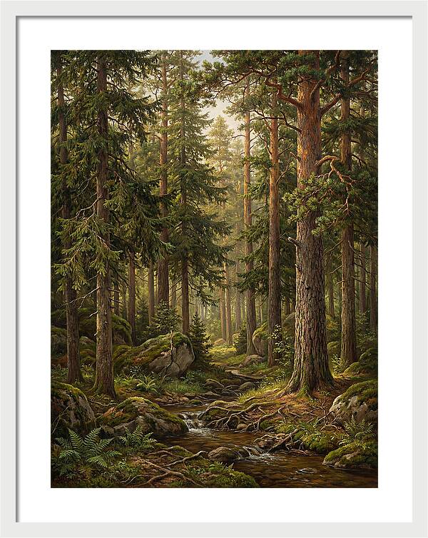 Whispers Of The Evergreen Woods
