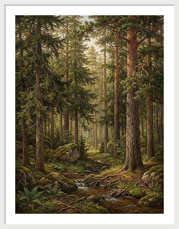Whispers Of The Evergreen Woods