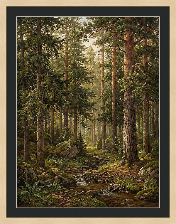 Whispers Of The Evergreen Woods