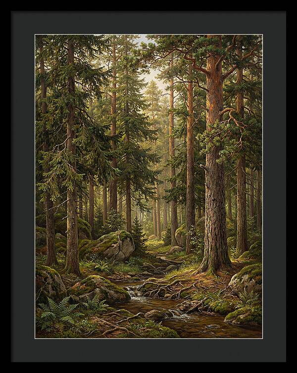Whispers Of The Evergreen Woods