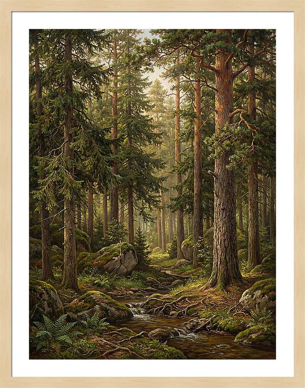 Whispers Of The Evergreen Woods